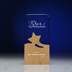 Kỷ niệm chương pha lê gỗ nhiều màu sắc CB027