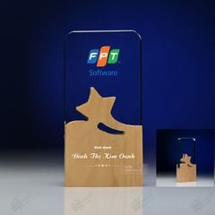 Kỷ niệm chương pha lê gỗ nhiều màu sắc CB027