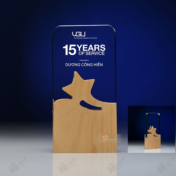 Kỷ niệm chương pha lê gỗ nhiều màu sắc CB027