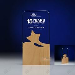 Kỷ niệm chương pha lê gỗ nhiều màu sắc CB027