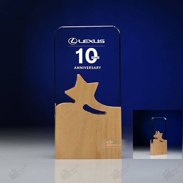 Kỷ niệm chương pha lê gỗ nhiều màu sắc CB027