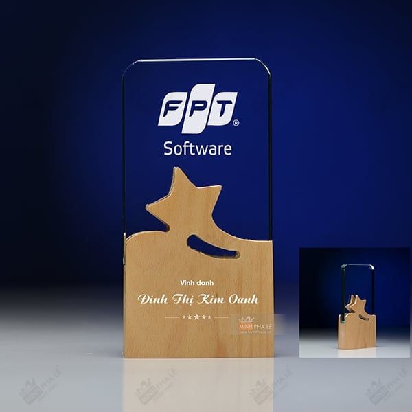 Kỷ niệm chương pha lê gỗ nhiều màu sắc CB027