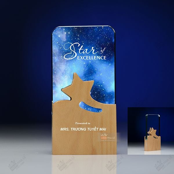 Kỷ niệm chương pha lê gỗ nhiều màu sắc CB027