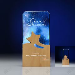 Kỷ niệm chương pha lê gỗ nhiều màu sắc CB027