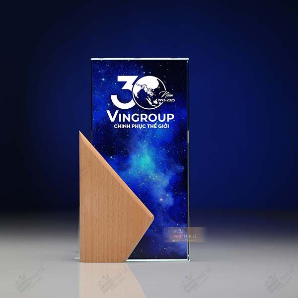 Kỷ niệm chương pha lê gỗ nhiều màu sắc VG83