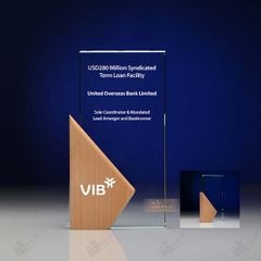 Kỷ niệm chương pha lê gỗ nhiều màu sắc VG83