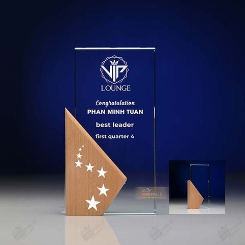 Kỷ niệm chương pha lê gỗ nhiều màu sắc CB028