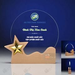 Kỷ niệm chương pha lê gỗ nhiều màu sắc CB030