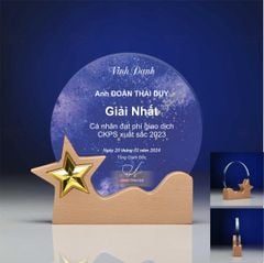 Kỷ niệm chương pha lê gỗ nhiều màu sắc CB030