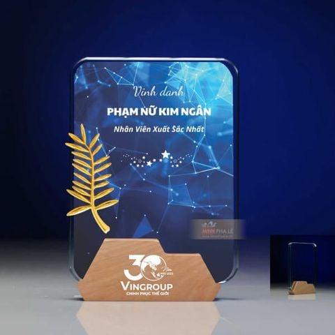 Kỷ niệm chương pha lê gỗ nhiều màu sắc CB032 (4 loại)