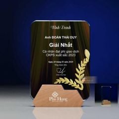 Kỷ niệm chương pha lê gỗ nhiều màu sắc CB032 (4 loại)