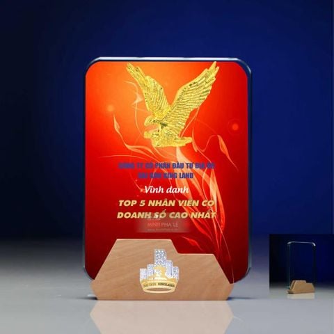 Kỷ niệm chương pha lê gỗ nhiều màu sắc CB032 (4 loại)