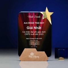 Kỷ niệm chương pha lê gỗ nhiều màu sắc CB032 (4 loại)