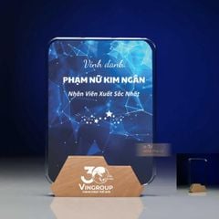 Kỷ niệm chương pha lê gỗ nhiều màu sắc CB032