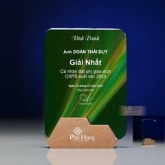 Kỷ niệm chương pha lê gỗ nhiều màu sắc CB032
