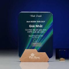 Kỷ niệm chương pha lê gỗ nhiều màu sắc CB032