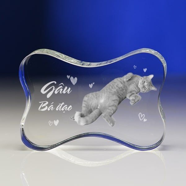 Chân dung 3d khối pha lê 3D-CX01 (2 Size)