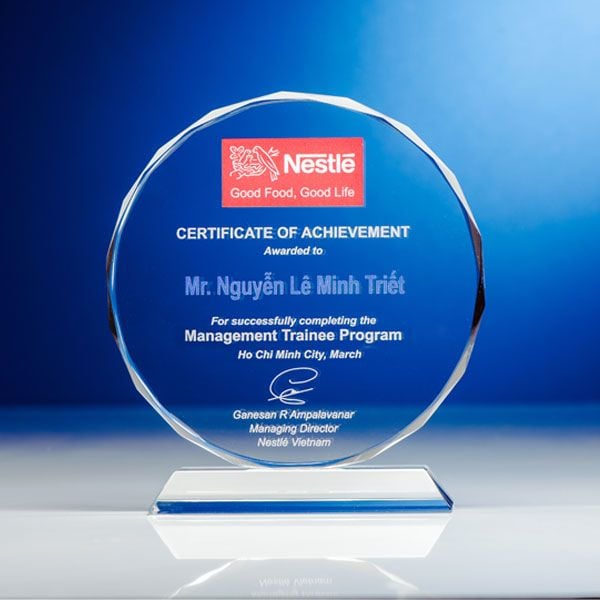 Kỷ niệm chương hoa mặt trời HMT (2 loại)