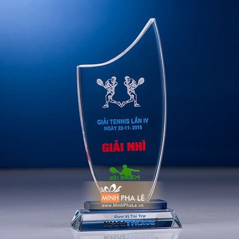 Kỷ niệm chương pha lê K012 (2 loại)