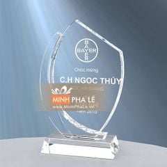 Kỷ niệm chương kính trắng K028-K7