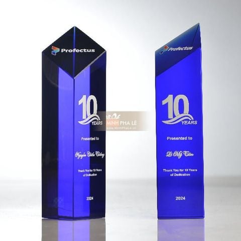 Cúp vinh danh giám đốc xuất sắc VIP N079