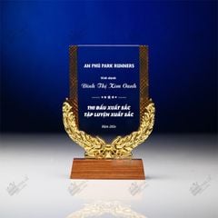 Kỷ niệm chương vinh danh quản lý xuất sắc SBT-307-02