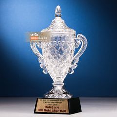 Cúp thể thao T003 3 size