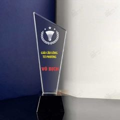 Cúp vinh danh pha lê T098