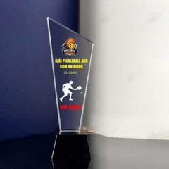 Cúp vinh danh T098-K7