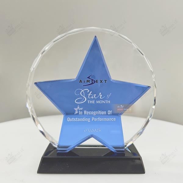 Kỷ niệm chương ngôi sao T117