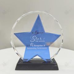 Kỷ niệm chương ngôi sao T117