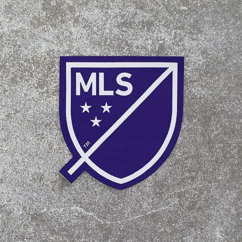 LOGO 2 lớp MLS tím