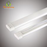 Đèn Led OVal 24W 0.6M