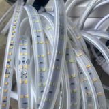 LED Dây 9.5 W/m