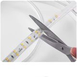 LED Dây 9.5 W/m