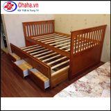 Giường Tầng hộp GT042-OH OHAHA