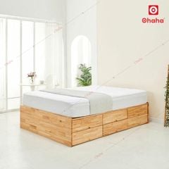 Giường ngủ gỗ tự nhiên cao cấp Ohaha - GGTN007