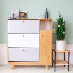 Tủ giày gỗ cao cấp Ohaha phối nhiều màu 02 - TG055