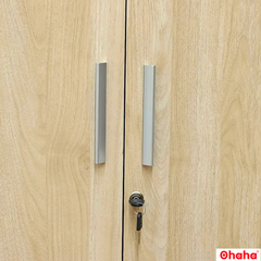 Tủ quần áo gỗ công nghiệp hiện đại 2 cửa mở Ohaha - HĐ008