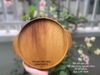 052- Lót nồi 20*23cm gỗ dâu rừng