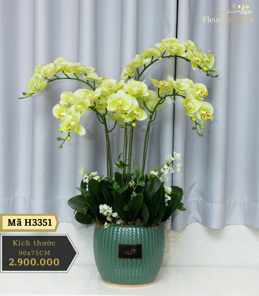  Green Orchids - Lan lụa cao cấp, đẹp sang trọng 