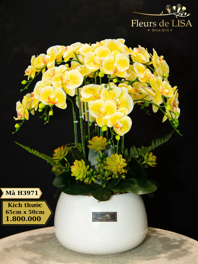  Hoa nghệ thuật H3971 