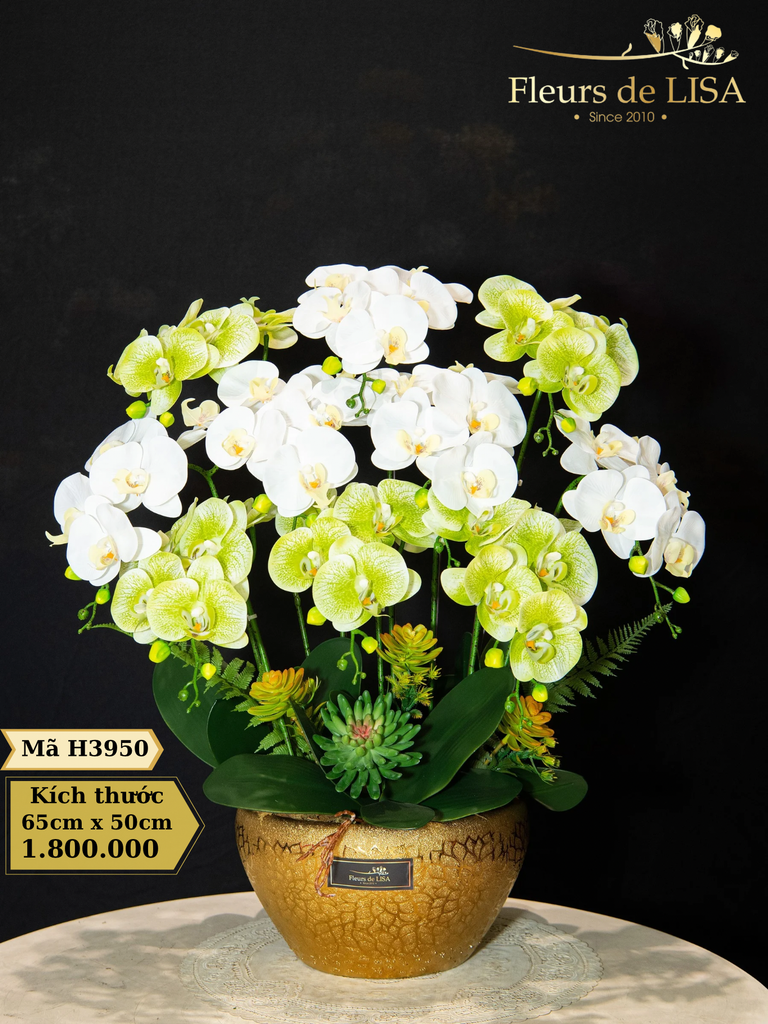  Hoa nghệ thuật H3950 