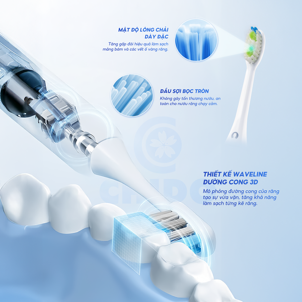 Bàn chải điện Chido CDSmile - 3 đầu bàn chải
