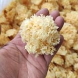 Nấm tuyết rừng Đông Tạng