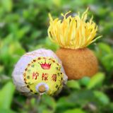 Trà đen hoa cúc chanh lọ 250g