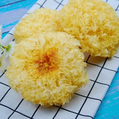 Nấm tuyết rừng Đông Tạng