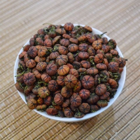 Trà nụ hoa cúc tuyết Tây Tạng hoang dã ( nụ hoàng cúc Tibet)