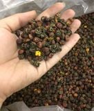 Trà nụ hoa cúc tuyết Tây Tạng hoang dã ( nụ hoàng cúc Tibet)