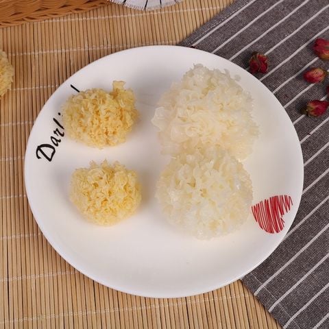 Nấm tuyết rừng Đông Tạng